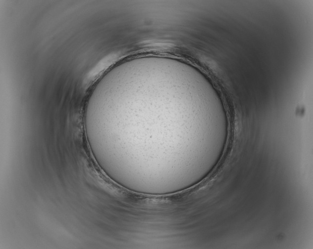 X0000111181354200907151314