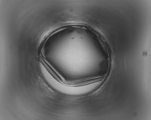 X0000111181357200907151314