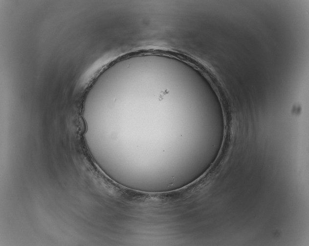 X0000111181359200907151314