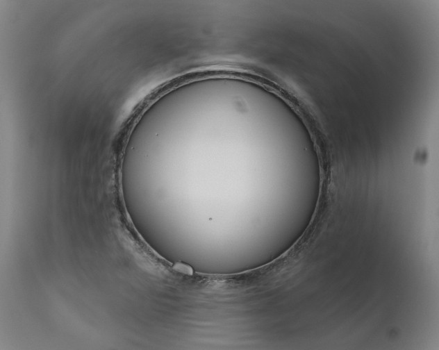 X0000111181360200907151314