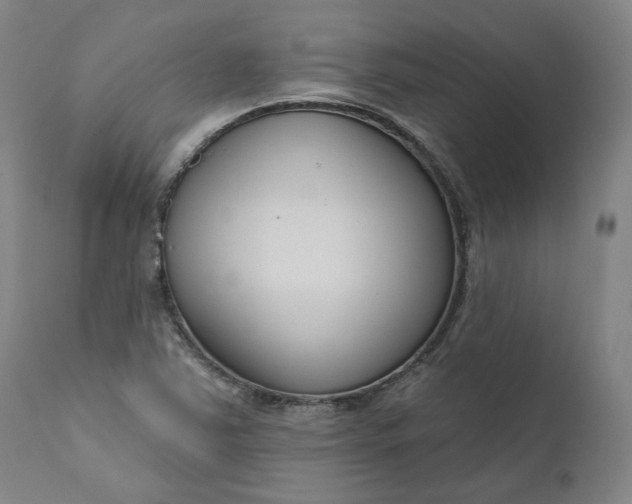 X0000111181363200907151313