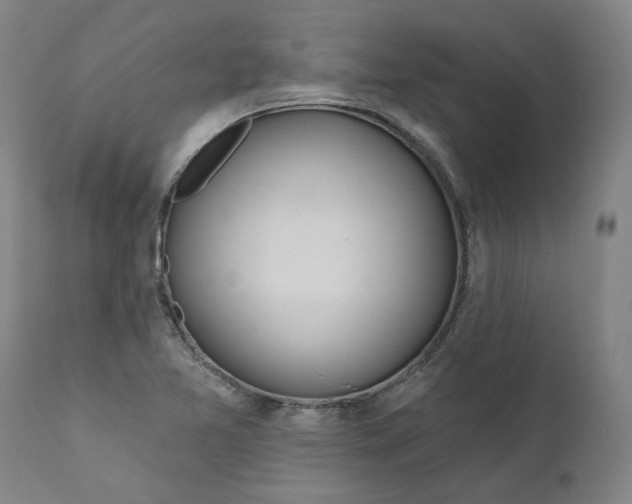 X0000111181365200907151313