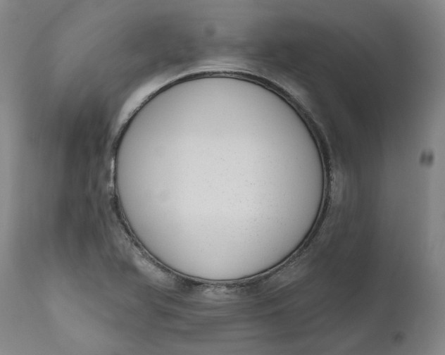 X0000111181366200907151313