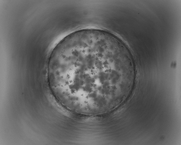 X0000111181367200907151313