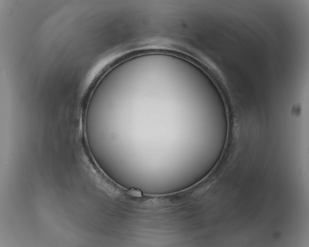 X0000111181368200907151313