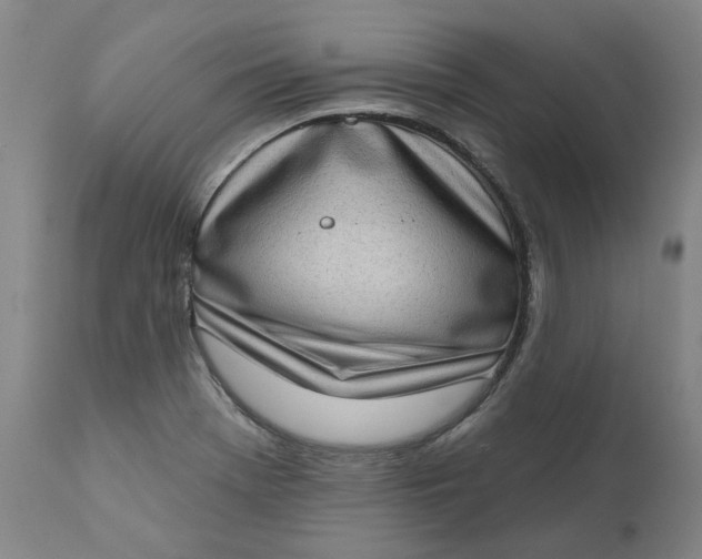 X0000111181369200907151313