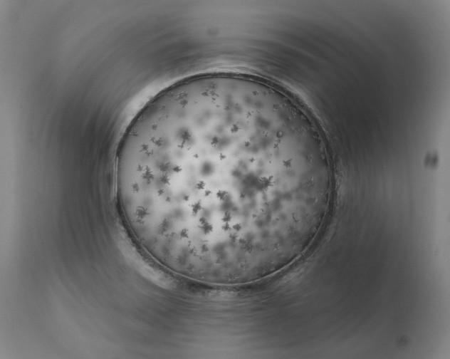 X0000111181371200907151313