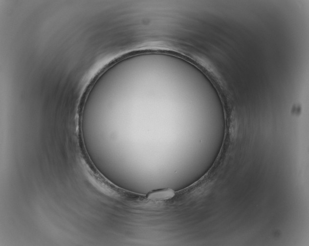 X0000111181372200907151313