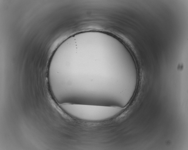 X0000111181373200907151313