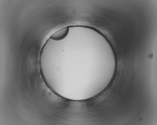 X0000111181374200907151313