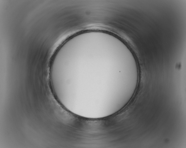 X0000111181376200907151313