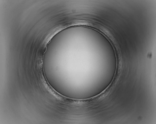 X0000111181377200907151313