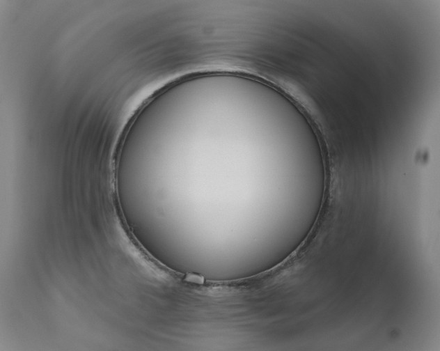 X0000111181380200907151313