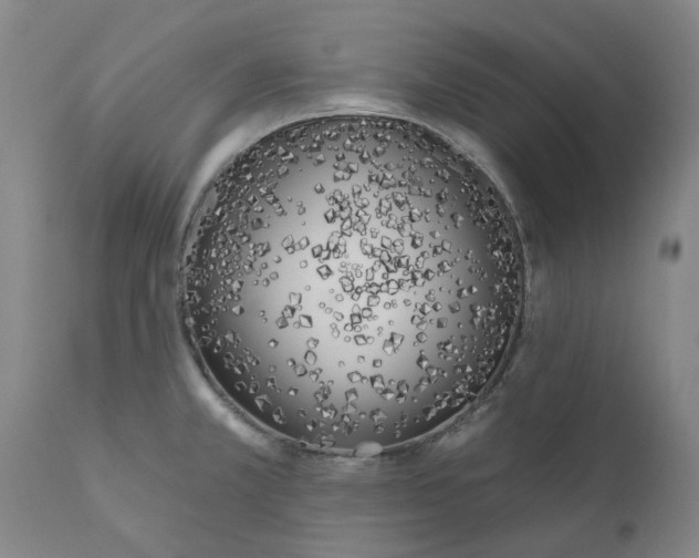 X0000111181381200907151313