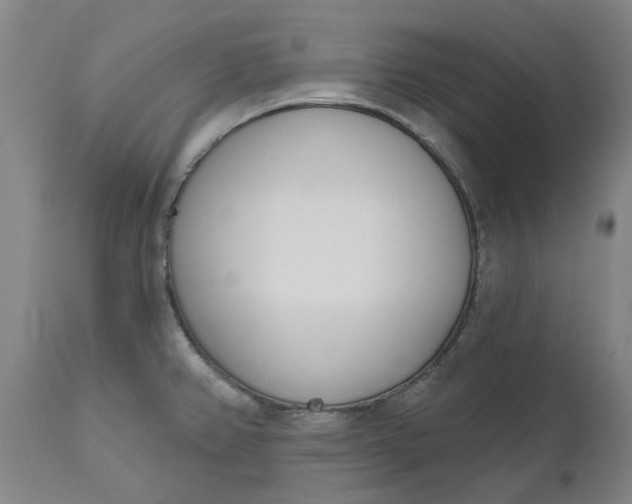 X0000111181382200907151313