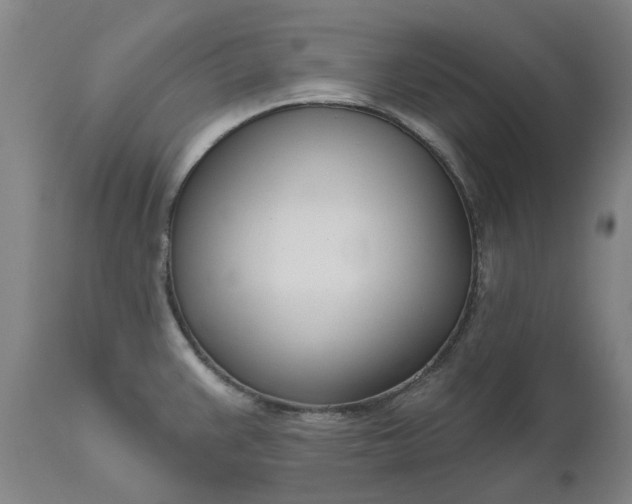 X0000111181383200907151313