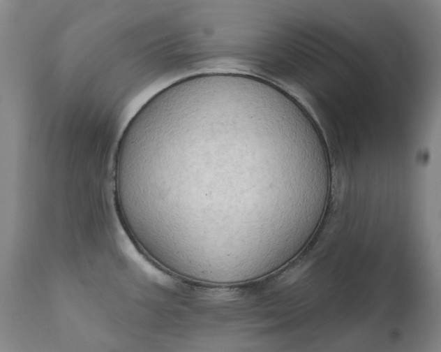 X0000111181387200907151313