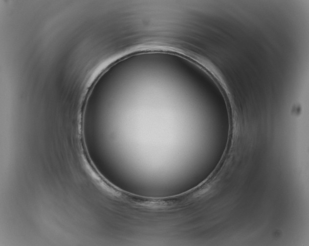 X0000111181388200907151313