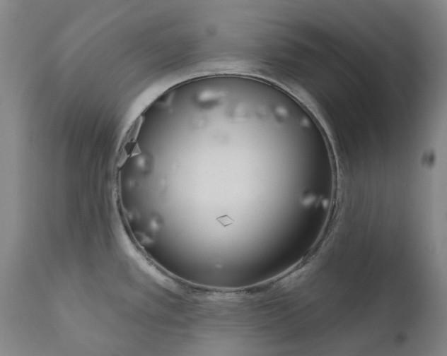 X0000111181389200907151313