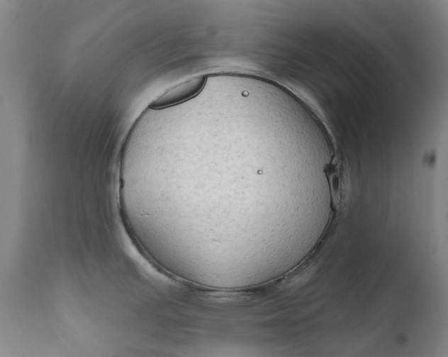 X0000111181391200907151313