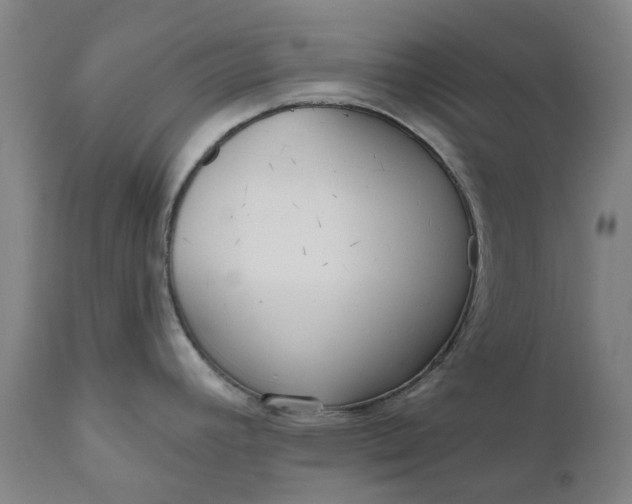 X0000111181392200907151313