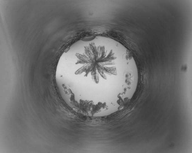 X0000111181393200907151312