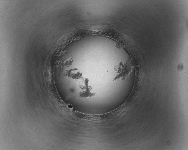 X0000111181394200907151312