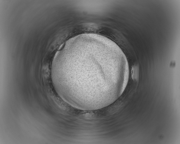 X0000111181395200907151312