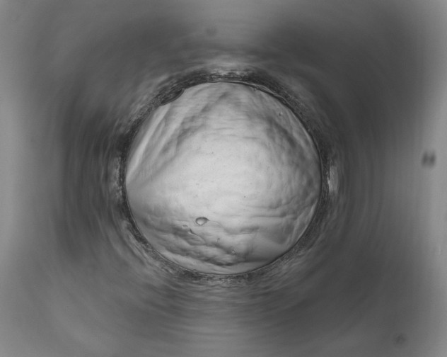 X0000111181396200907151312