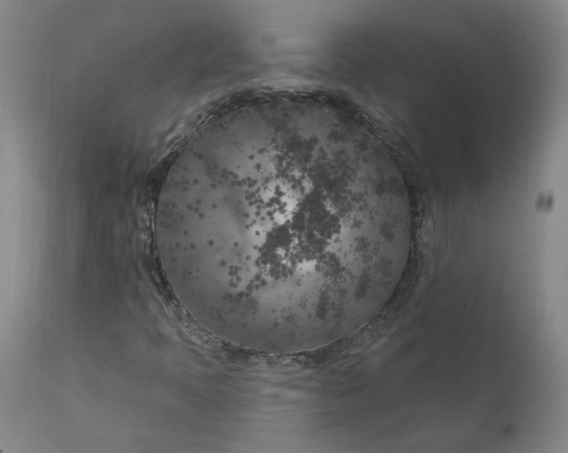 X0000111181397200907151312