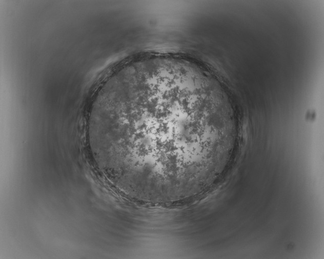 X0000111181398200907151312