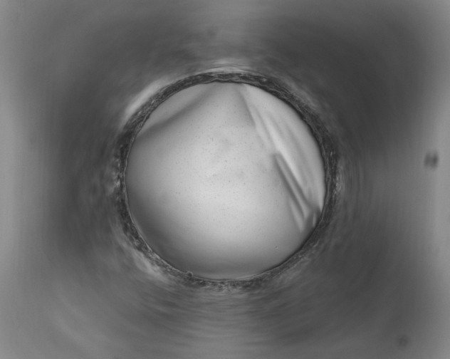 X0000111181400200907151312