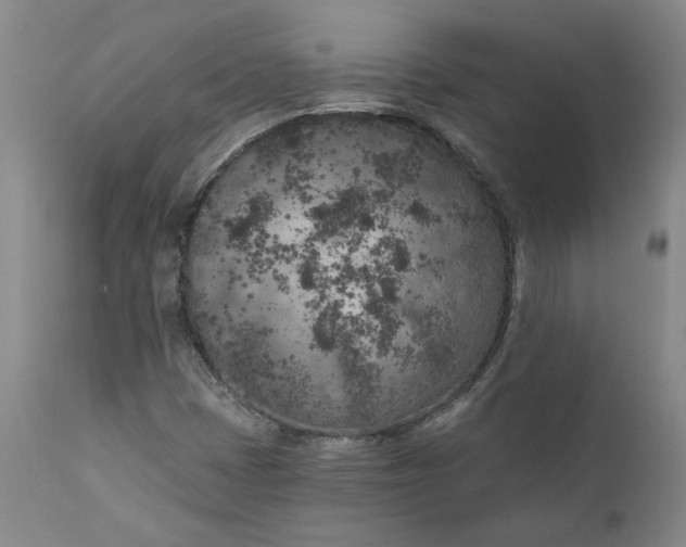 X0000111181401200907151312