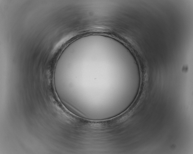 X0000111181402200907151312