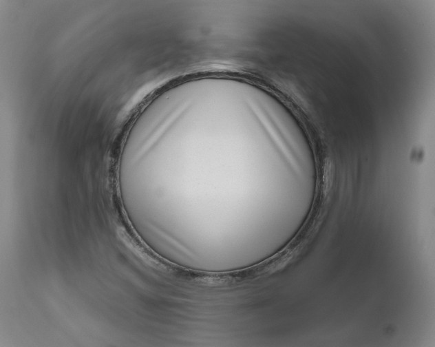 X0000111181404200907151312