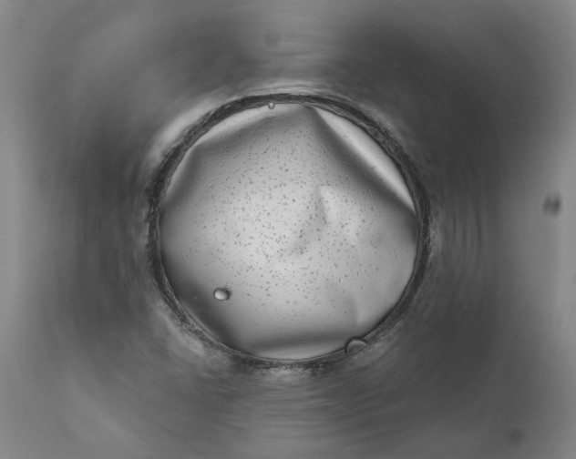 X0000111181406200907151312