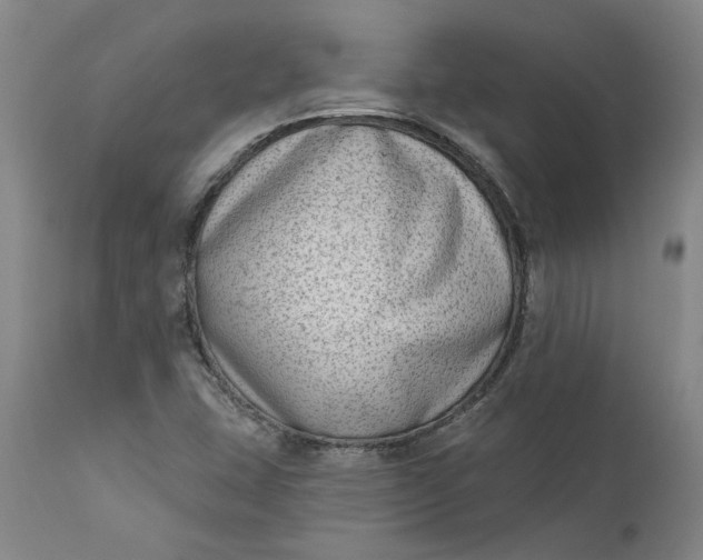 X0000111181407200907151312