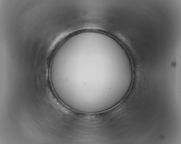 X0000111181408200907151312