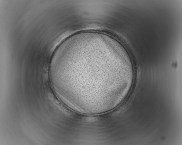 X0000111181409200907151312