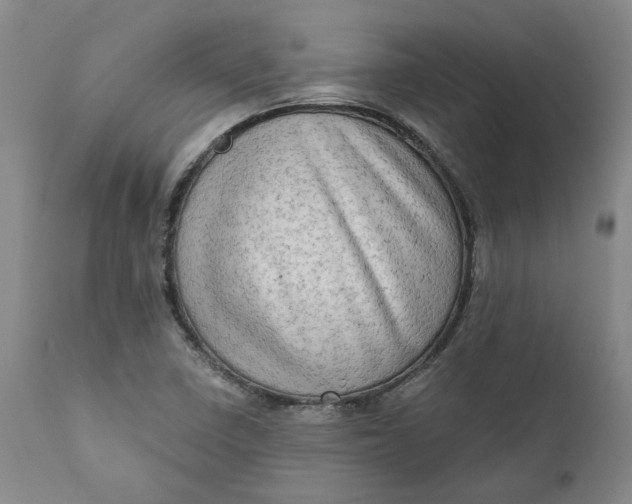 X0000111181410200907151312