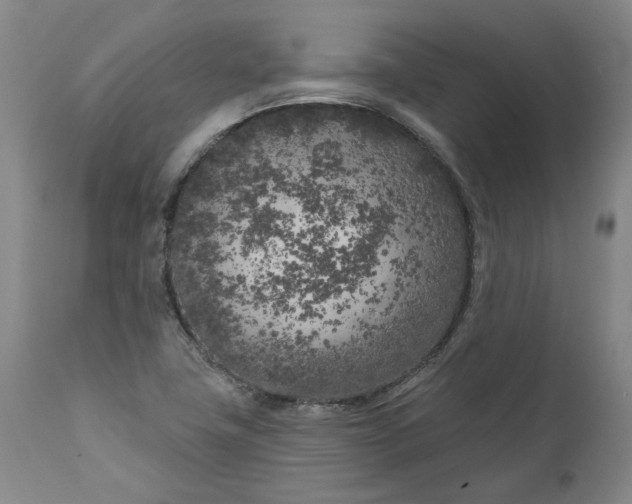 X0000111181411200907151312