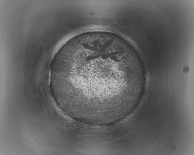 X0000111181413200907151313