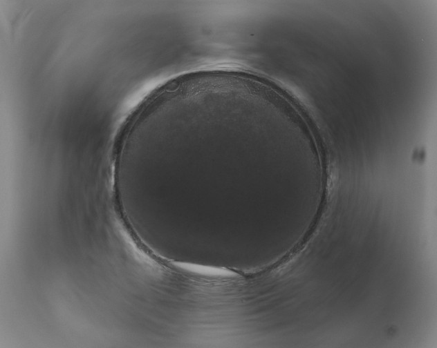 X0000111181414200907151313