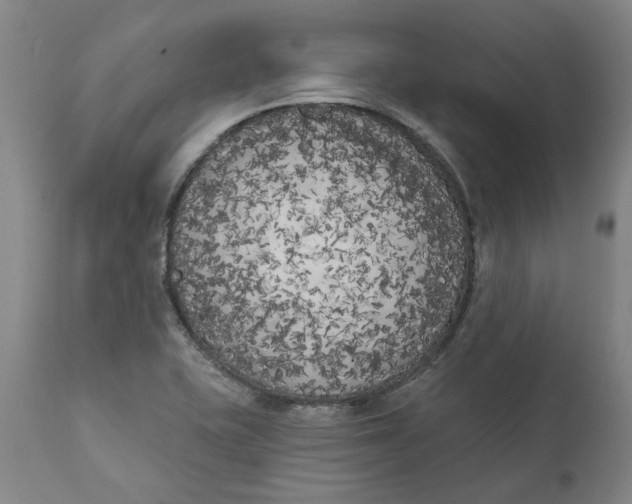 X0000111181415200907151313