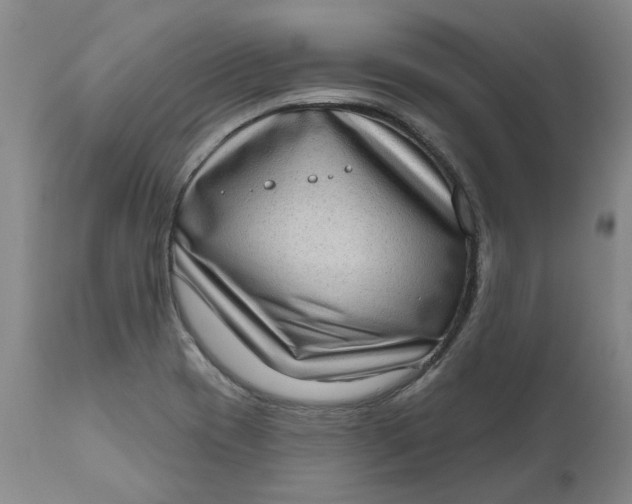 X0000111181417200907151313