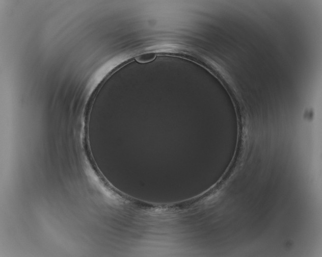 X0000111181418200907151313