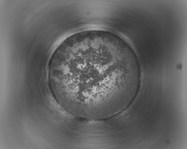 X0000111181419200907151313