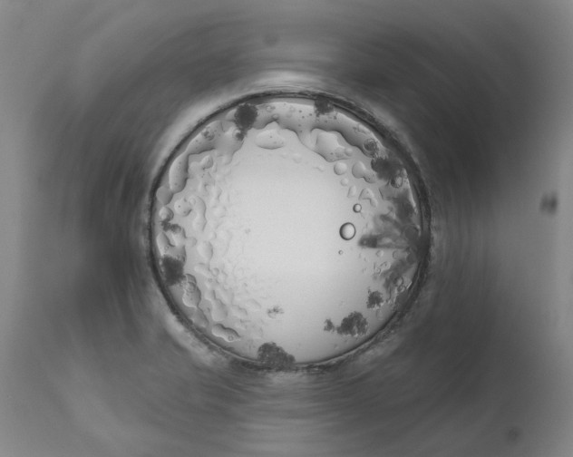 X0000111181421200907151313