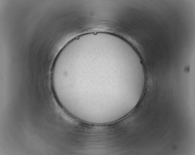 X0000111181423200907151313