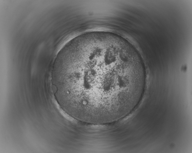 X0000111181425200907151313